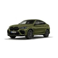 2023 BMW X6